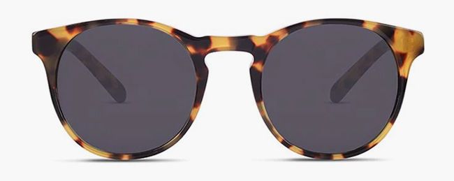 finlay tortoiseshell sunglasses