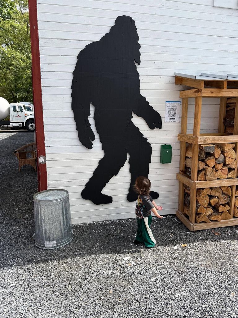 photo of rocky 13 starring at a photo on the side of a wall