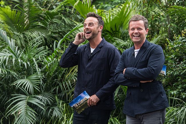 ant and dec on im a celebrity