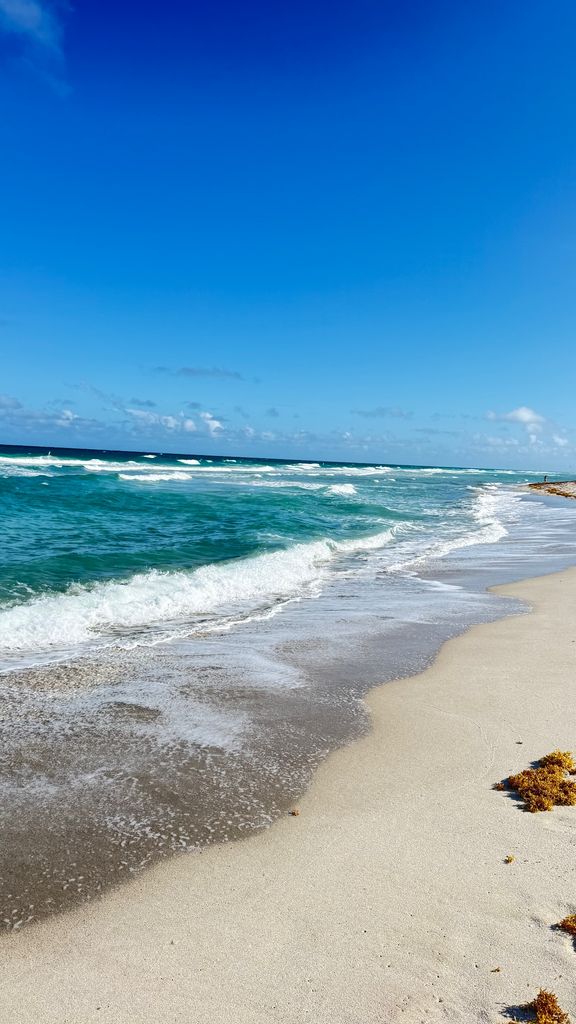 plage avec ciel bleu