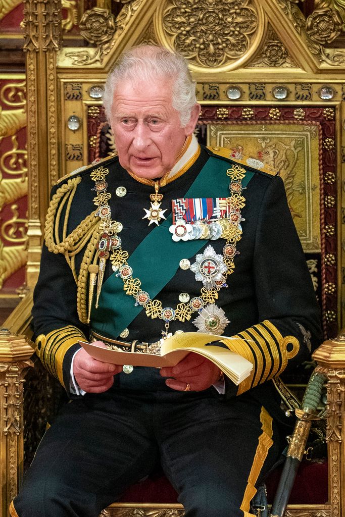 King Charles sat on golden throne