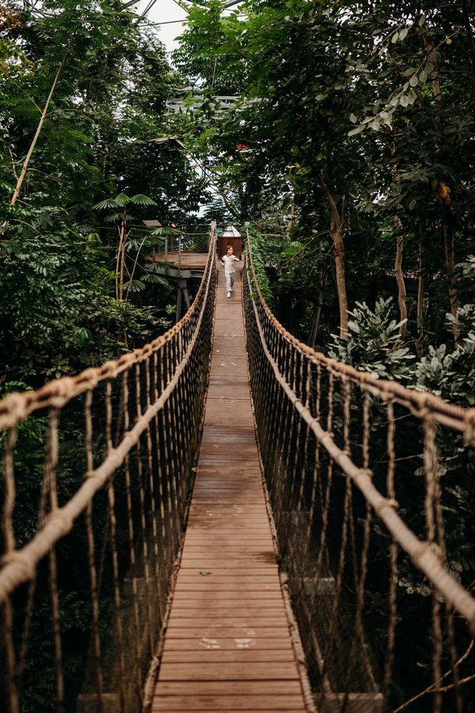 The Rainforest Biome also features a wobbly bridge