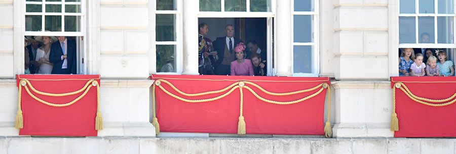 royals watching trooping