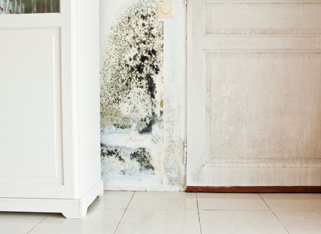 If left untreated, mould can cause serious health problems and should be reported to your landlord