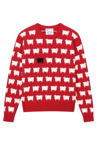 warm and wonderful sheep jumper