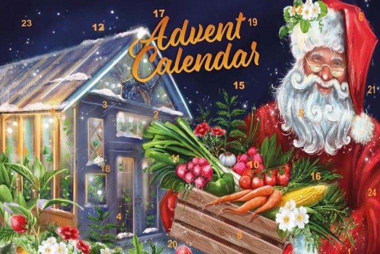 seeds advent calendar 