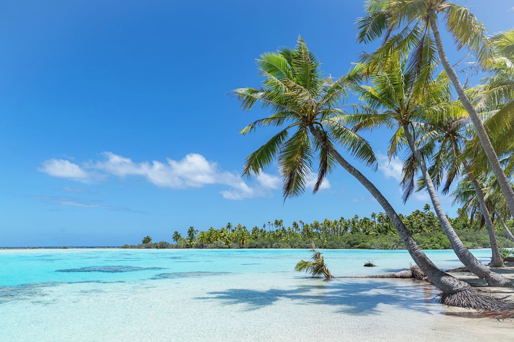 Fakarava Atoll Island, UNESCO Biosphere Reserve, Tuamotu Islands Archipelago, French Polynesia.