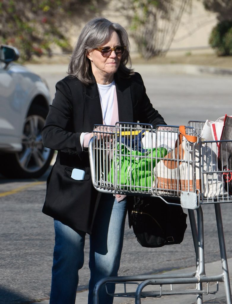 sally field groceries
