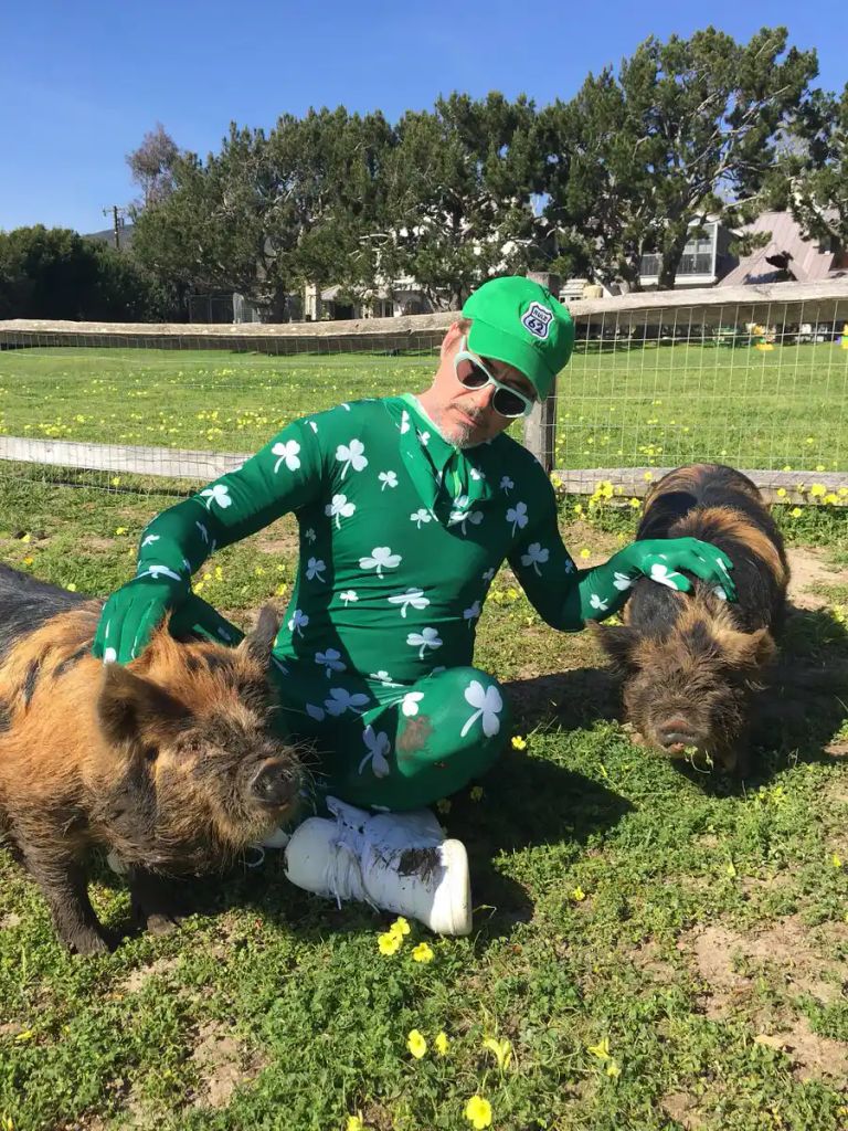 Robert Downey Jr parties on St. Patrick's Day with two pigs