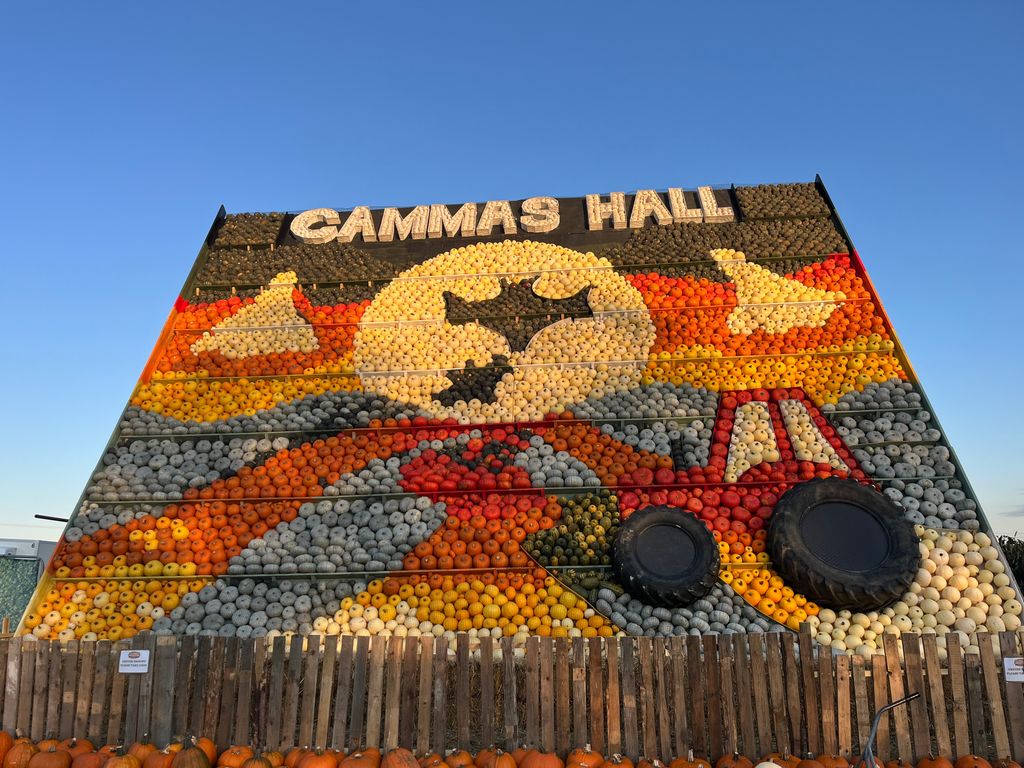 Cammas Hall pumpkin patch