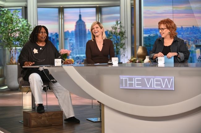 theview hosts