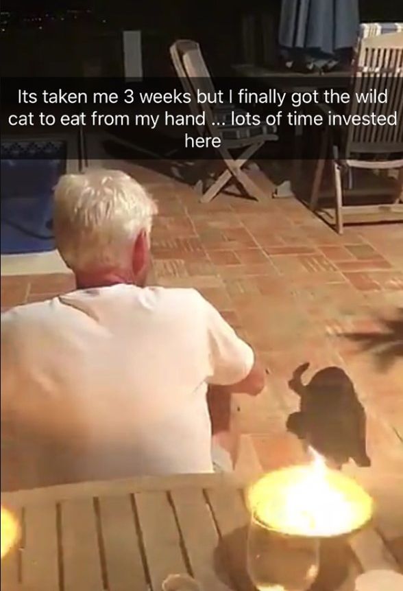 phillip schofield holiday home cats z