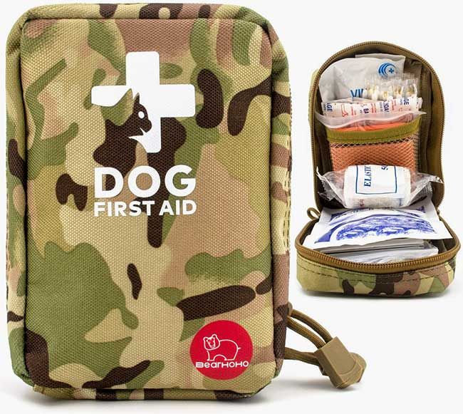 dog first aid