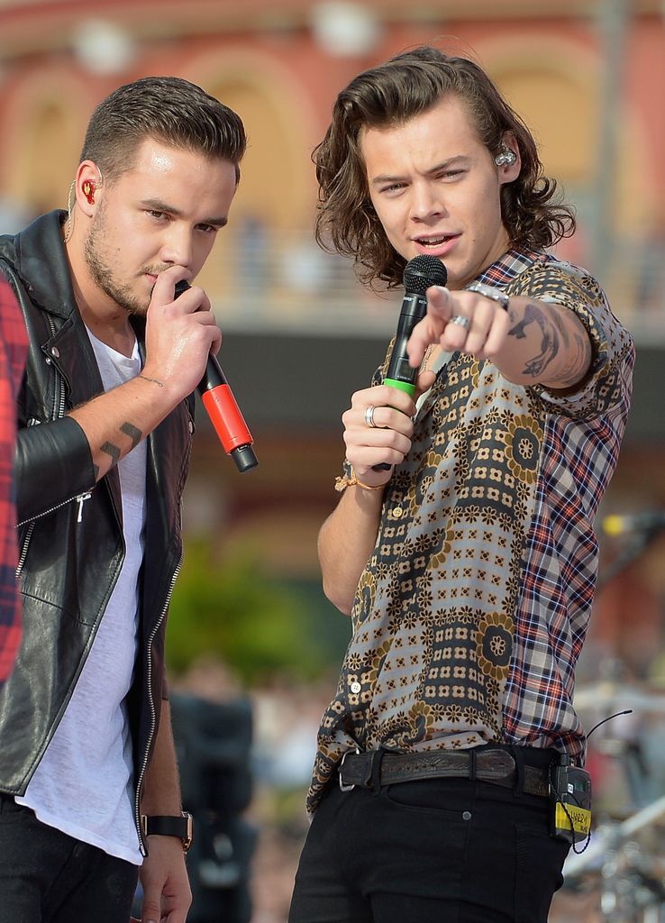 Both Harry and Liam had successful careers after One Direction split