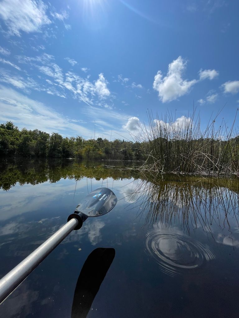 Kayaking in Brevard Zoo