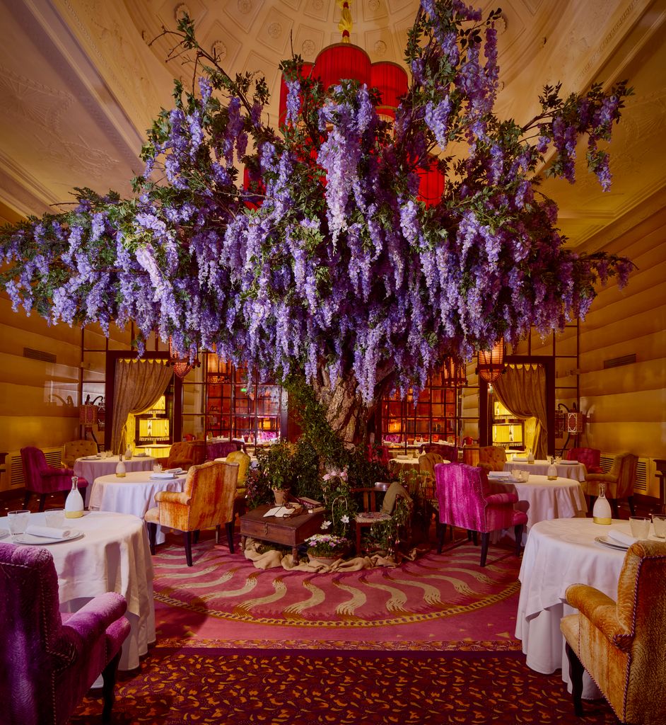 restaurant with wisteria tree in centre