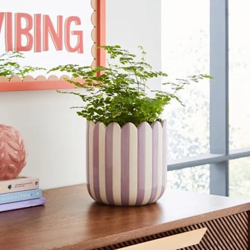 Dunelm Striped Plant Pot