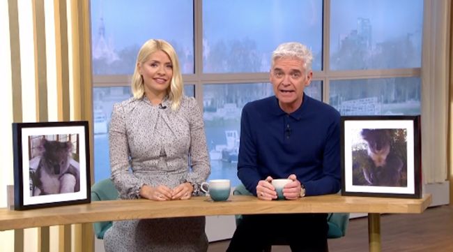 holly willoughby and phillip schofield with koalas