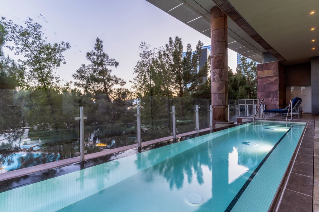 Infinity pool at the Aria Spa and Salon