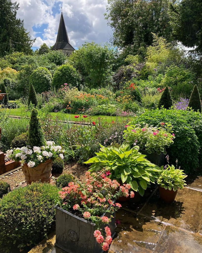 Alan's garden glistened beautifully after the rainfall