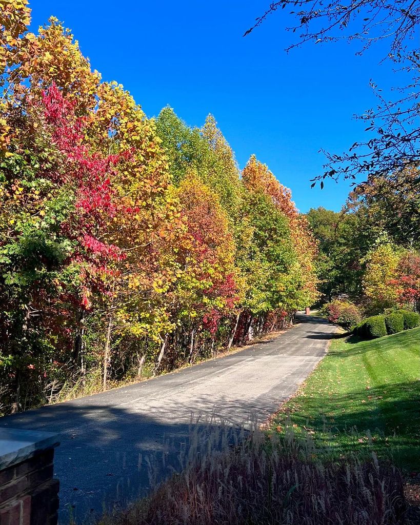 Fall foliage in West Virginia