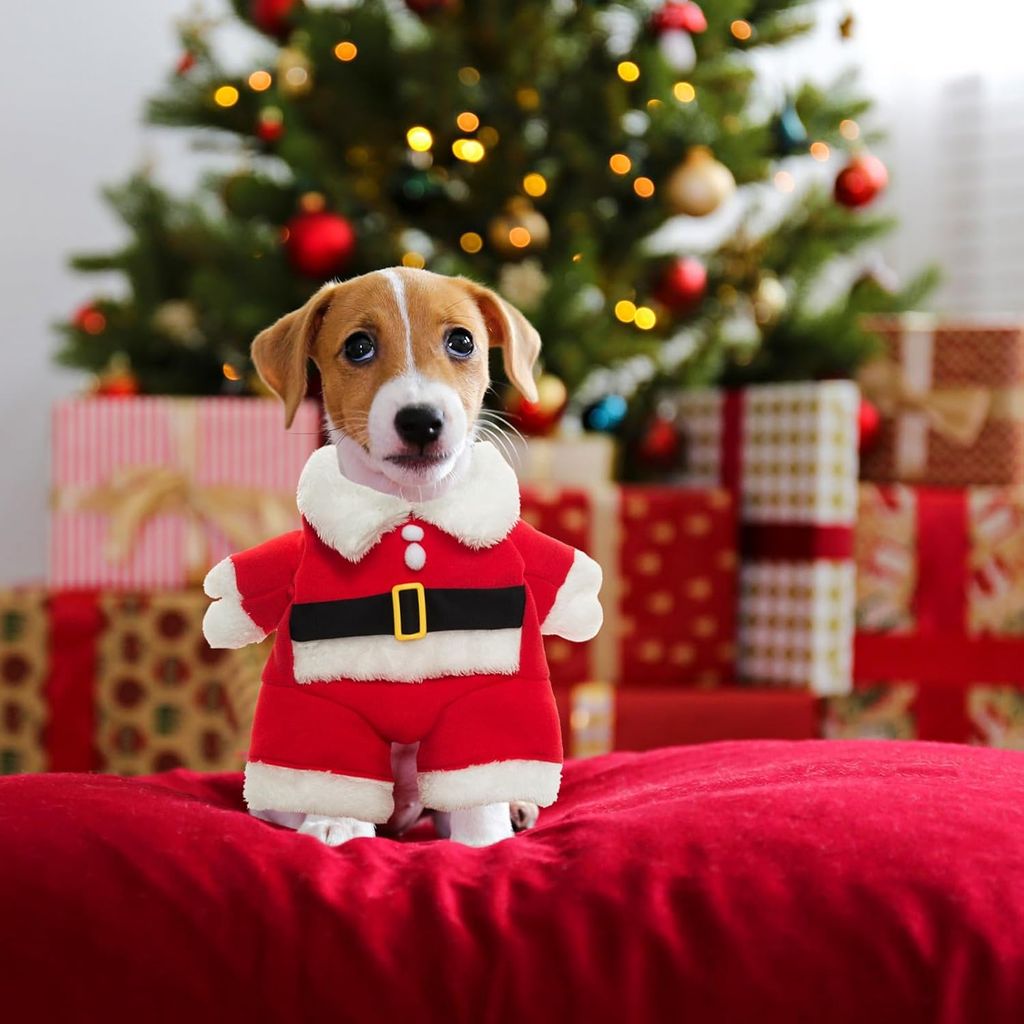 Amazon Santa Claus outfit for dogs