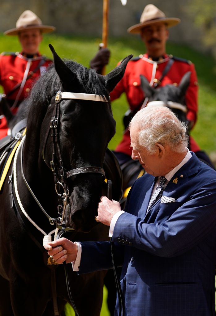 King Charles stroking a horse in 2023 in a suit