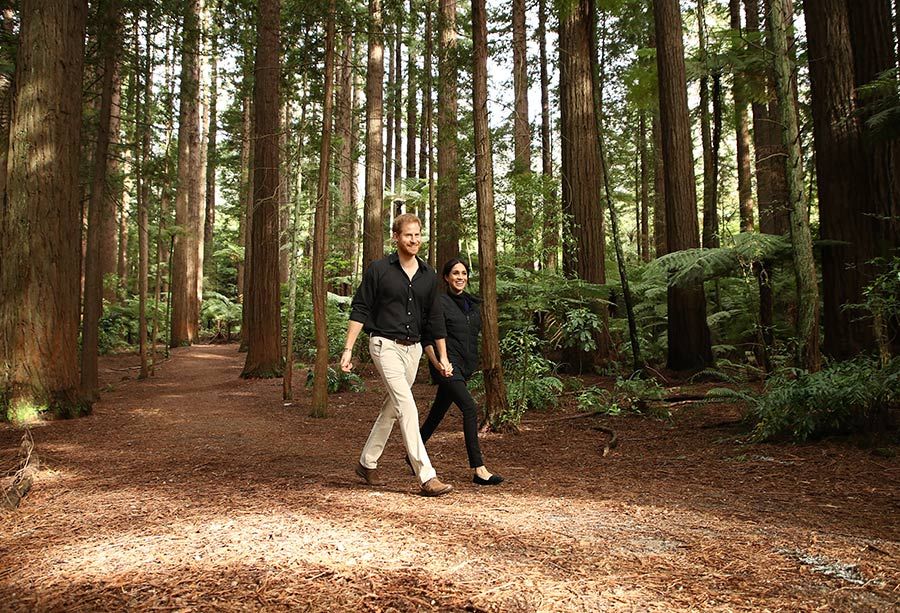 harry meghan  Redwoods Tree Walk