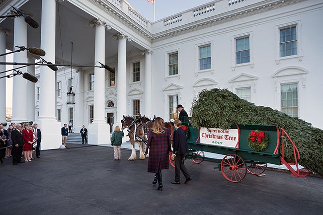 barron and melania trump receive christmas tree at white house2