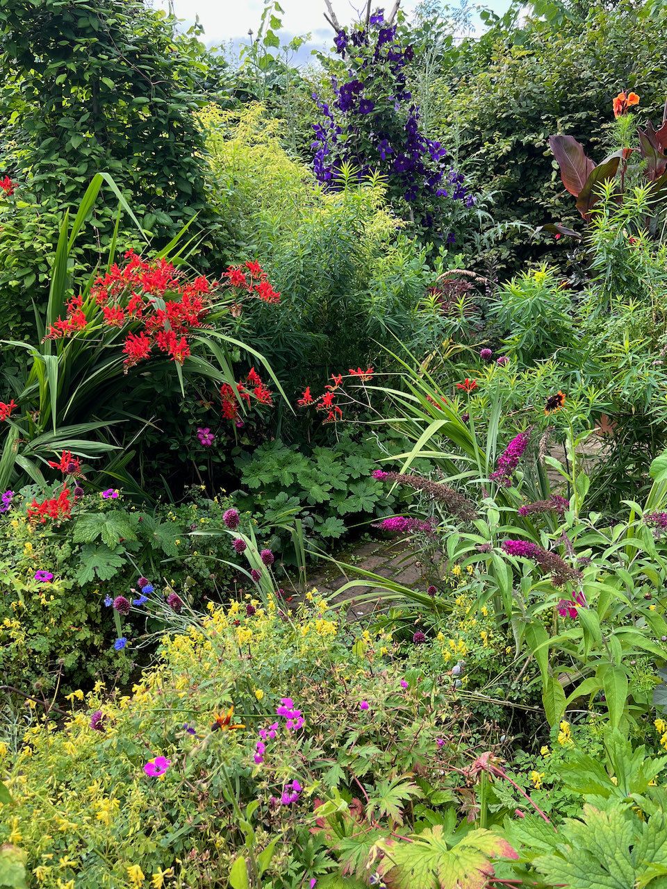Monty Don's Longmeadow garden