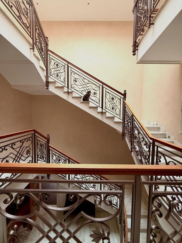 Ricky Gervais' cat Pickle posing on grand staircase at London home 