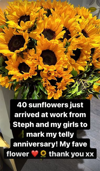 schofe sunflowers
