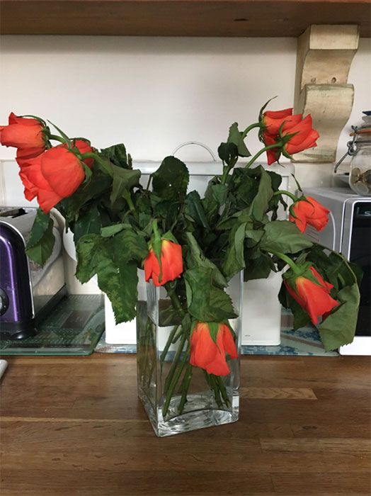 Katherine Dow Blyton kitchen flowers