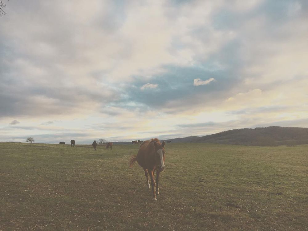 Kelly shared a snap from The South Downs in Sussex, England in 2019