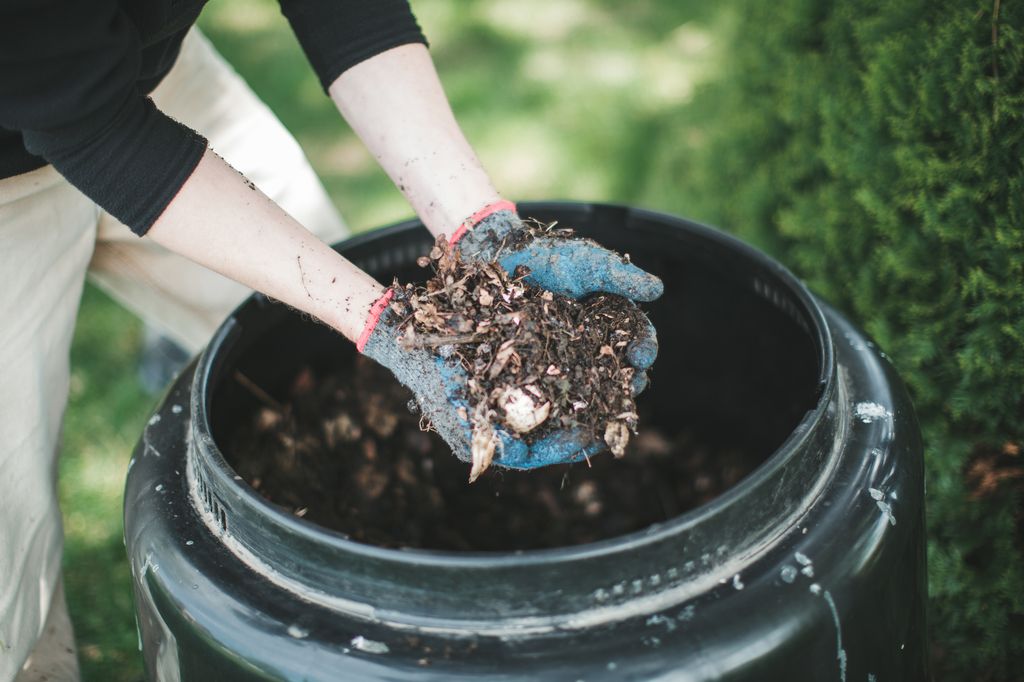 Man hold out his hands with gardening gloves holding out hand fulls of compost from his compost bin.