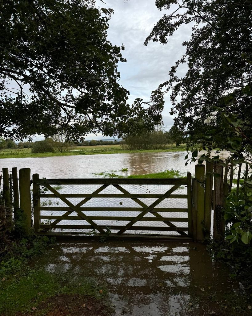 Monty Don's flooded garden