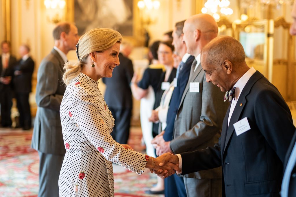 Sophie, Duchess of Edinburgh shaking hand of man at palace