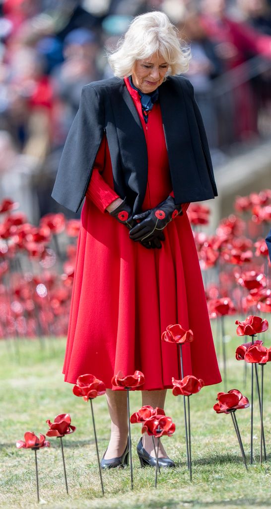 Queen Camilla looking down at poppies at Tower of London