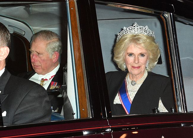 duchess of cornwall diplomatic reception