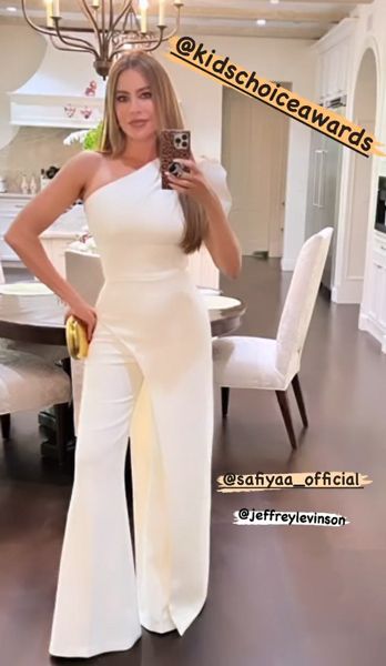 Sofia Vergara sizzles in figure-hugging outfit special occasion