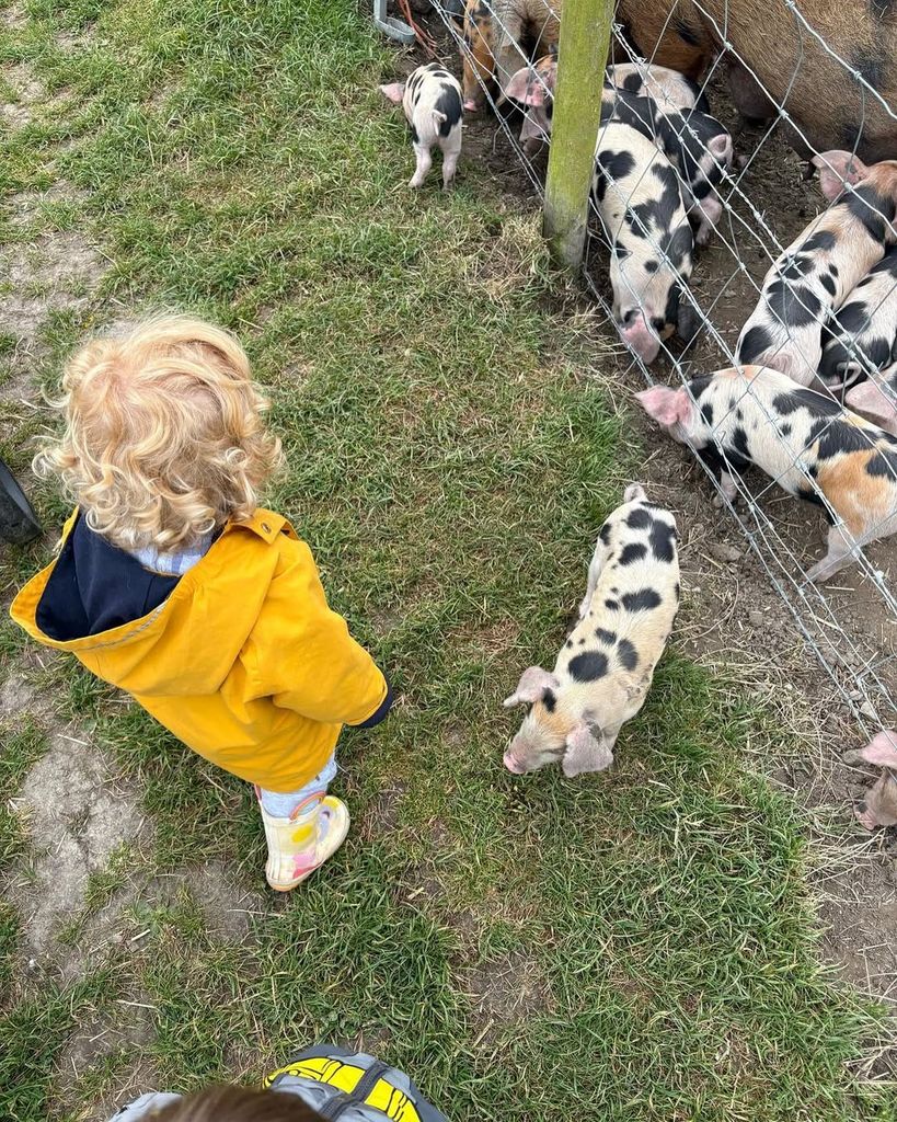 Carrie Johnson's son Wilf Johnson with some pigs 