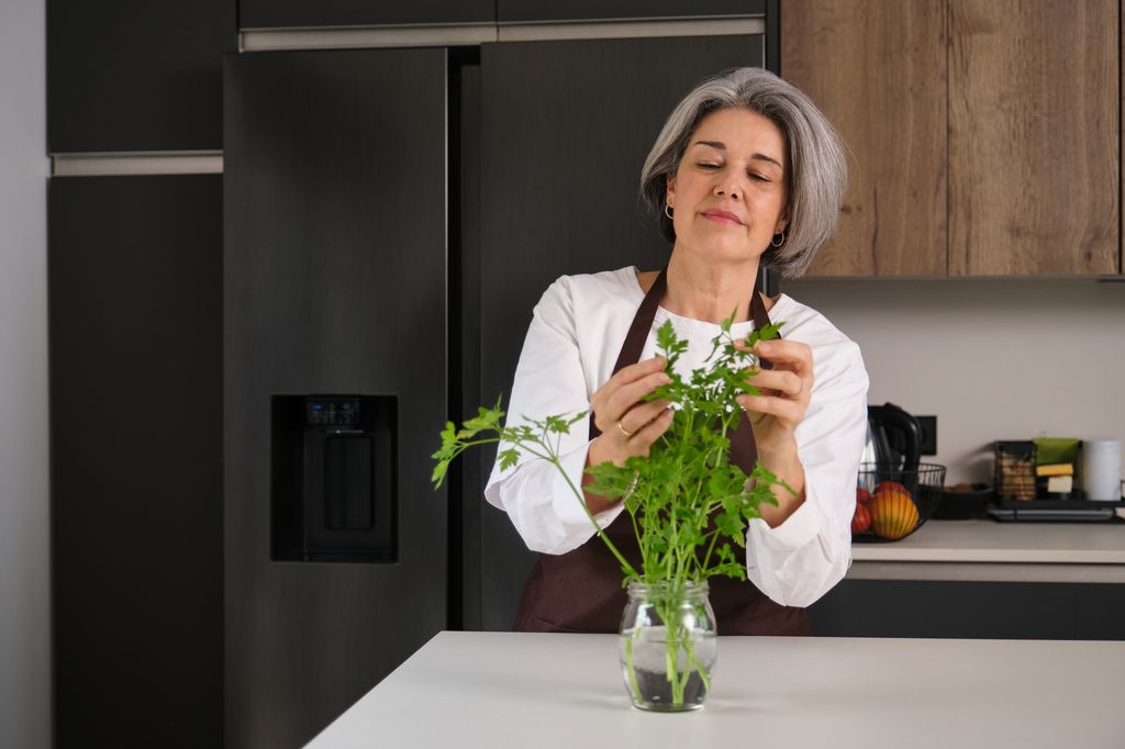 Senior woman smelling fresh parsley leaves in a jar in a modern kitchen