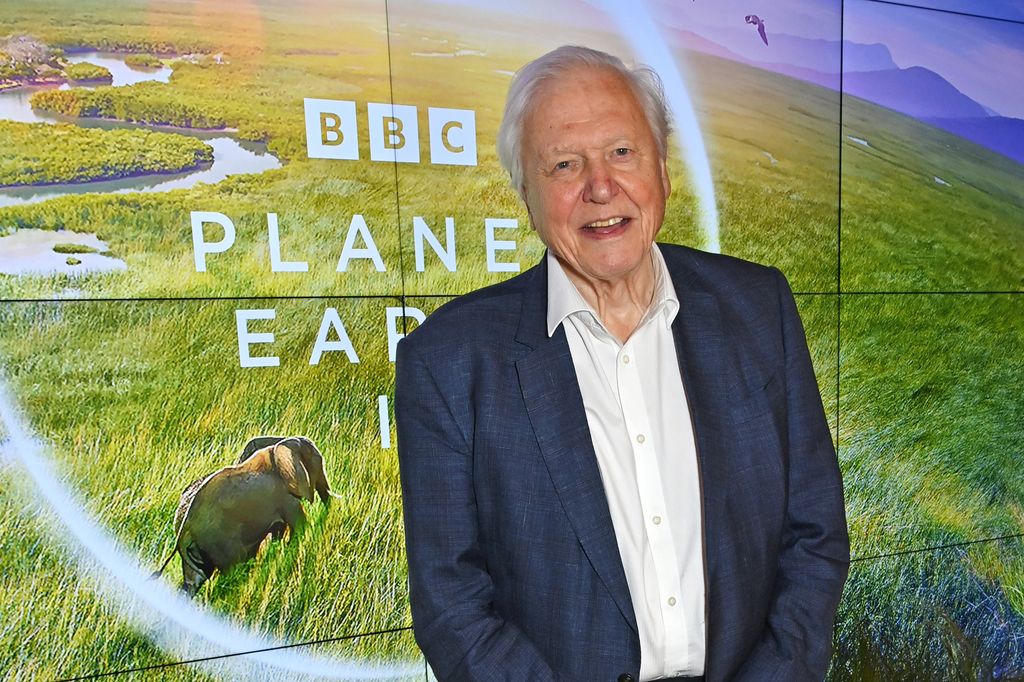 Sir David Attenborough attends the Global Launch of BBC Studios' "Planet Earth III" at Frameless on October 12, 2023 