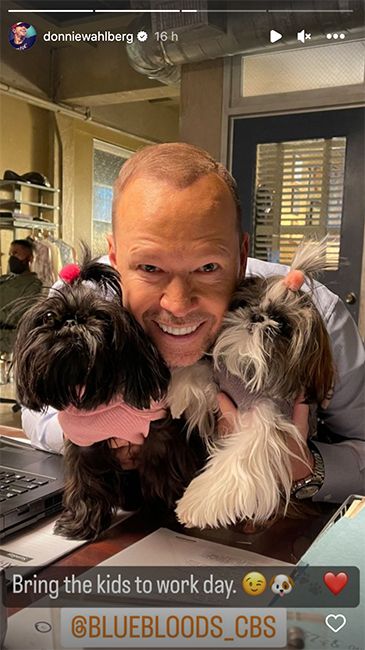 donnie wahlberg with dogs