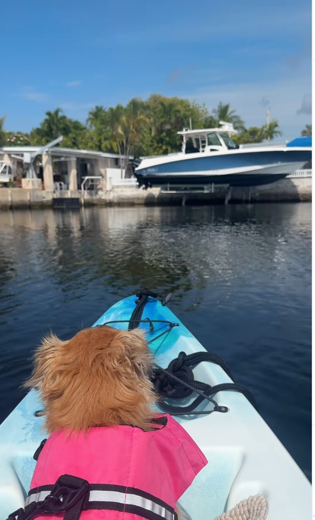 Robin enjoyed a kayak ride with her dog Lukas while on vacation