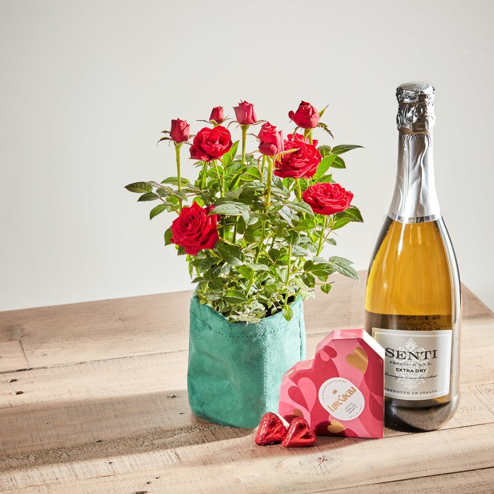 Arena flowers Rose Enchantment with Fizz and Truffles
