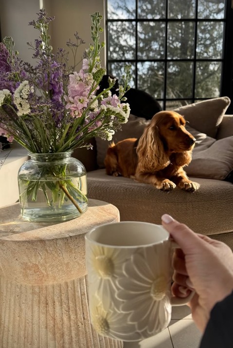 Stacey Solomon holding up a mug with her armchair, dog and vase in the background