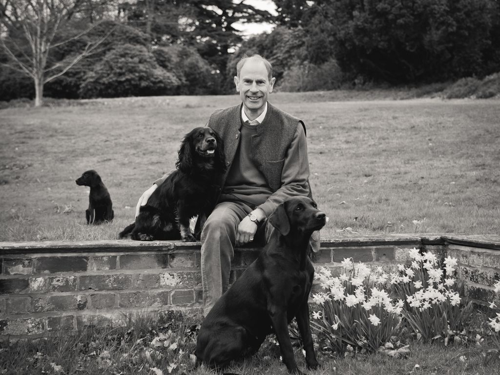Prince Edward sat on a wall with three dogs