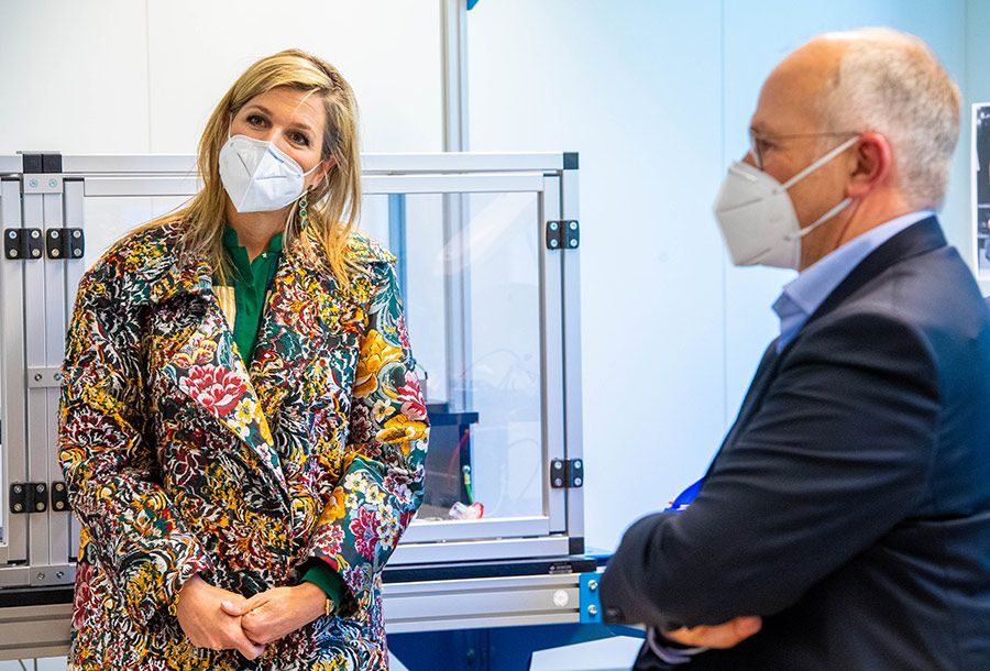 queen maxima in face mask