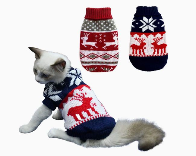 Cat jumper for clearance cats